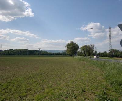 Eladó Mezőgazdasági és erdei telkek, 54, Nové Mesto nad Váhom, Szlovák