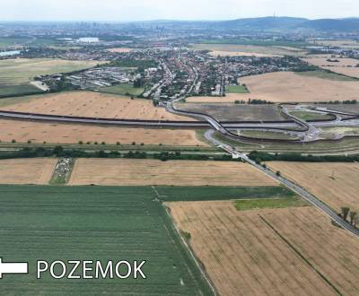 Eladó Mezőgazdasági és erdei telkek, Pezinok, Szlovákia