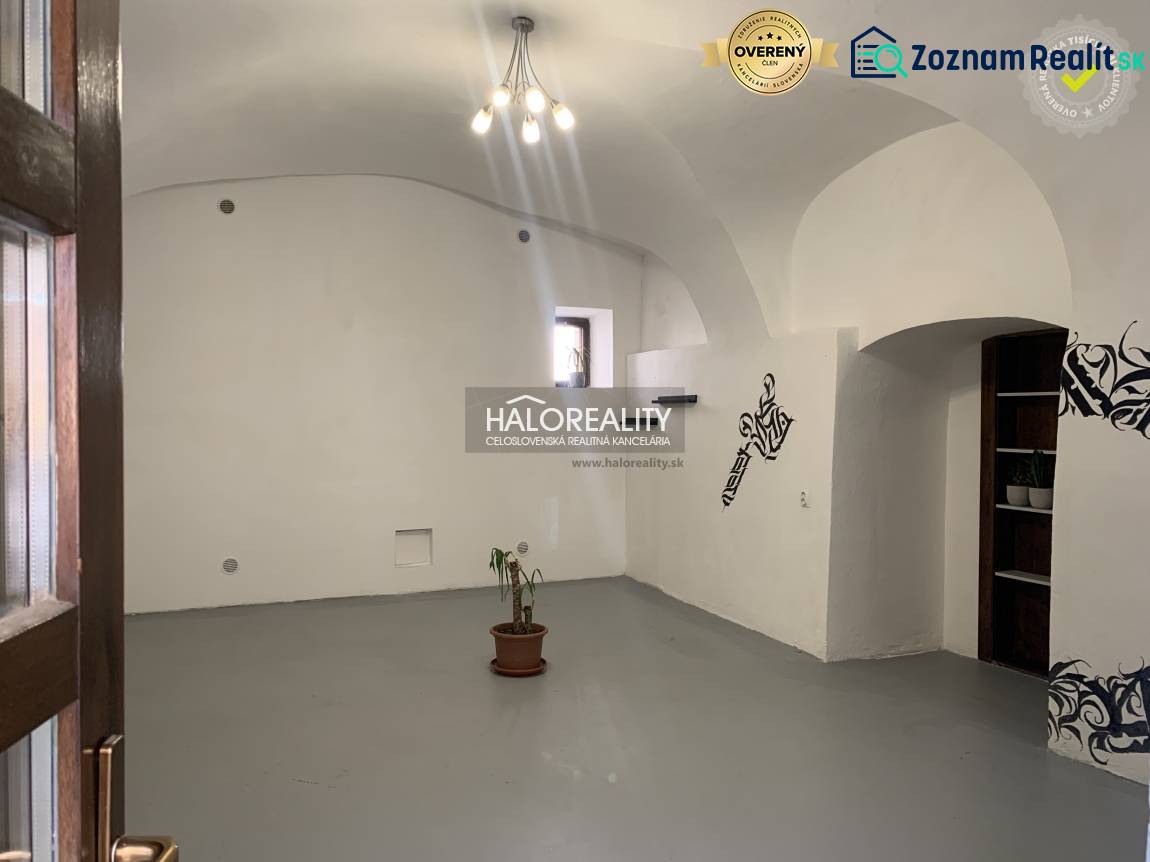 Irodák belső tere fehér falakkal, boltíves mennyezettel és cserepes növénnyel.