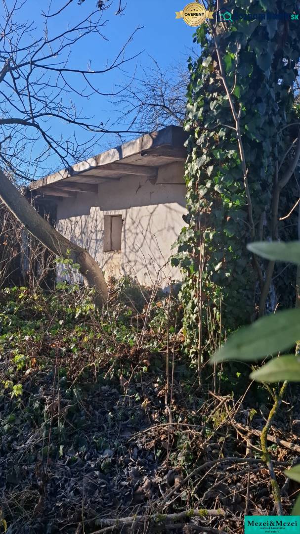 Sűrű növényzettel és fákkal benőtt kert a Suchá nad Parnou-i ház körül.