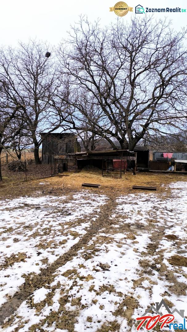Havas lakóterületek fákkal a Békesség utcában, Krasznahorkaváralján.