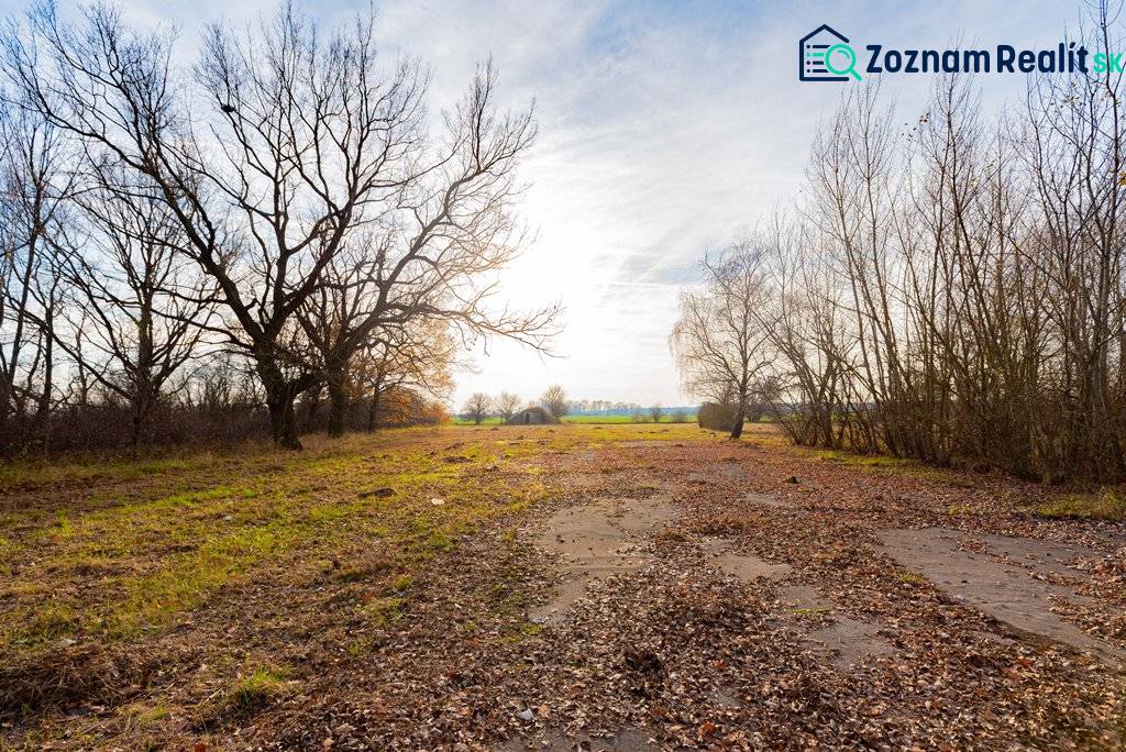 Fák tája Stupaván a kereskedelmi telkeken a Stupavská utcán.