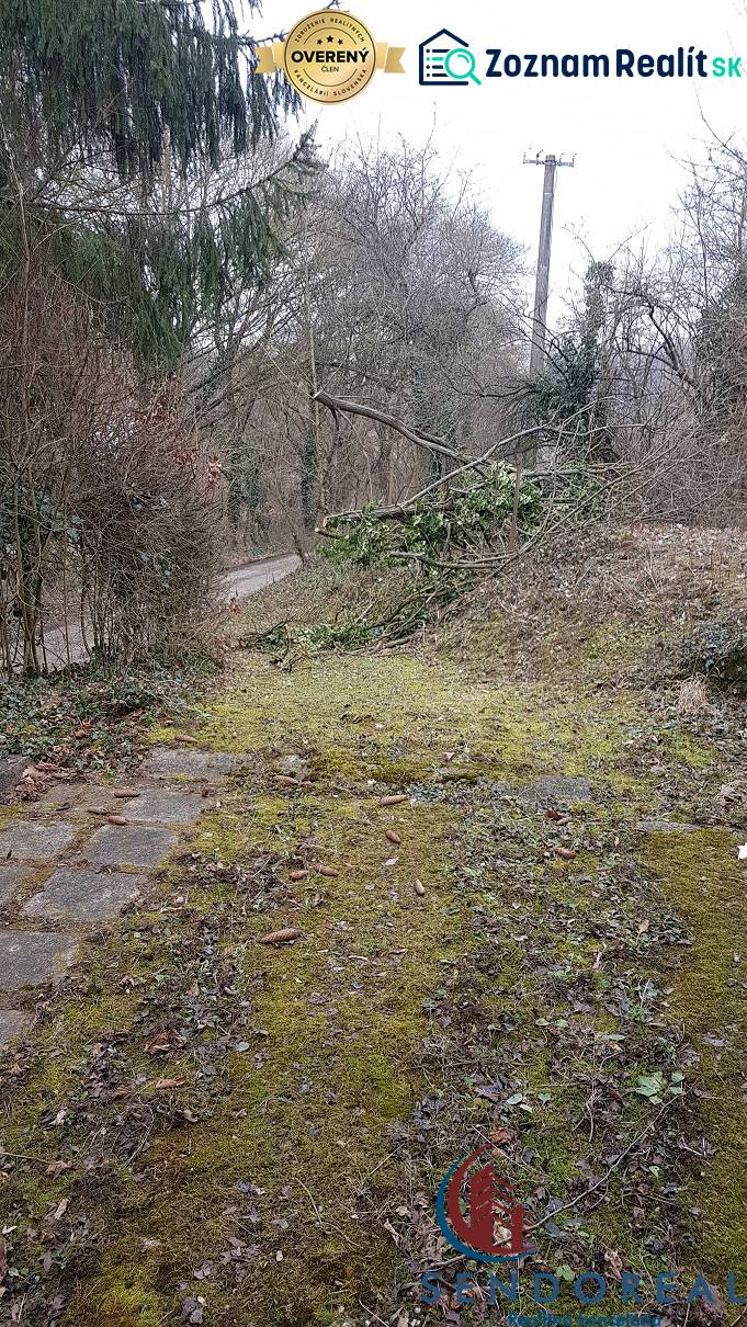 prístupová cesta ku garáži