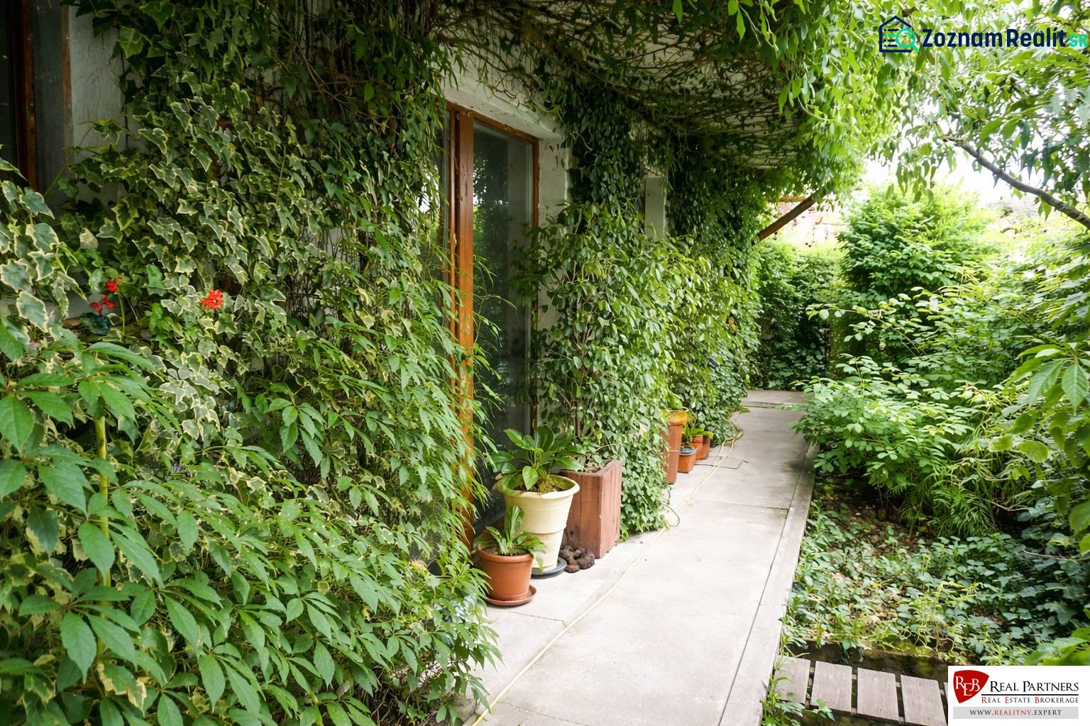 A Šancová utcai 3 szobás lakás kertje Pezinkben buja növényzettel és sétánnyal.