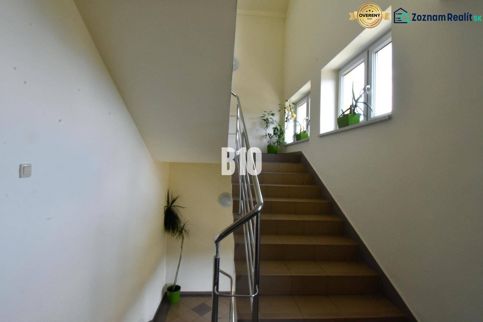 A korláttal ellátott lépcső és az ablakok melletti növények növelik az irodák természetes megvilágítását.