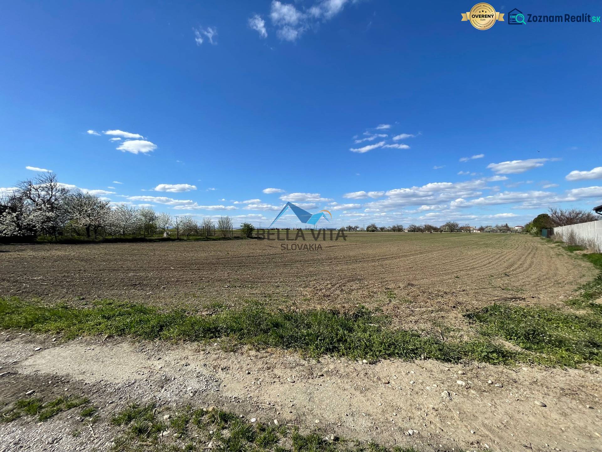 A Košútska utcán, Košúty kertekben található kiterjedt mező virágzó fákkal van körülvéve.