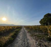 Okolie projektu.jpeg