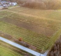 Mezőgazdasági és erdőterületek a Dubová-i Novosadská utcában, amelyeket természet és beépített területek vesznek körül.