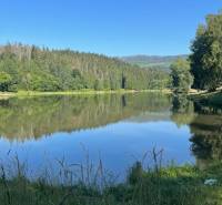 Jazero obklopené lesmi, pokojná príroda, ideálne na oddych a relax v prírode.