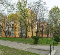 Bytový dom so zeleňou a chodníkom na ulici Zimná, potenciál 3-izbového bytu.