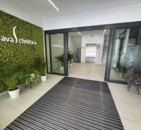 Recepció irodákban növényekkel és 