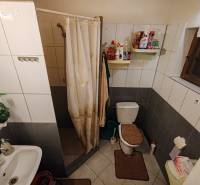 Fürdőszoba a házikóban WC-vel, zuhanyzóval és fehér csempékkel.