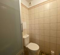 Fürdőszoba WC-vel és zuhanyzóval egy kétszobás lakásban.