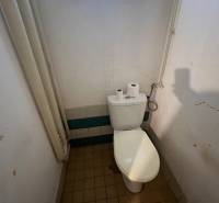 Fürdőszoba WC-vel egy családi házban, tartalmaz ablakot, csempét és tisztálkodási szereket.