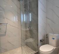 Fürdőszoba egy egyszobás lakásban üveg zuhanykabinnal és WC-vel.