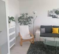 Nappali egy egyszobás lakásban szürke kanapéval, fotellel és növénnyel.