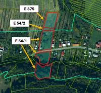 Ladomirova kataszteri területének térképe, amely mezőgazdasági és erdészeti területeket ábrázol az E 875, E 54/2, E 54/1 parcellákkal.