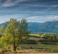 Mezőgazdasági és erdészeti területek Sučany közelében, hegyek panorámájával és egy fával az előtérben.