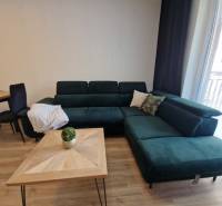 Kényelmes kanapé egy kétszobás lakásban, faasztallal és szobanövénnyel.