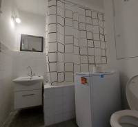 Fürdőszoba mosógéppel, zuhanyfüggönnyel és WC-vel egy egyszobás lakásban.