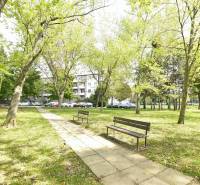 Pozsony - Ružinov park, Smolnícka, fákok, padok és járda, pihenés hangulata.