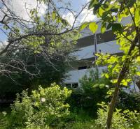 Villa Hainburg an der Donau-ban, zölddel és fákkal körülvéve, kék ég alatt.