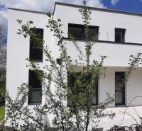 Villa Hainburg an der Donau minimalista homlokzattal és zöld környezettel.
