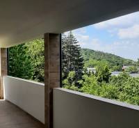Kilátás a villa teraszáról a zöldre és a környező természetre Hainburg an der Donau-ban.