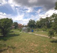 Családi ház kertje a Brodszkó-i Sport utcában fóliasátorral és gyümölcsfákkal.