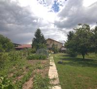 Kert a családi ház mellett a Sport utcában, Brodsko-ban, rendezéssel és zöldterülettel.