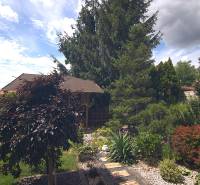 Kerti tér pavilonnal és változatos növényzettel a Sport utcában, Brodskóban.