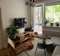 Nappali kanapéval, TV-vel és szobanövényekkel egy 4 szobás lakásban.
