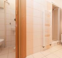 Fürdőszoba egy egyszobás lakásban WC-vel, mosdóval és zuhanyzóval, világos csempékkel.