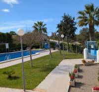 Medence pálmafákkal és zölddel az Aquiles utca környékén, Torrevieja.