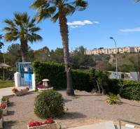 Park pálmafákkal és zöldterülettel Torreviejában, az Aquiles utcában, garzonlakás.