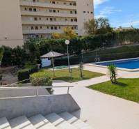 Medence és kert az apartmankomplexum előtt a cl. Aquiles utcában, Torreviejában.
