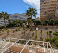 Kilátás egy garzonlakásból a torreviejai Aquiles utcán pálmafákkal és épületekkel.