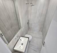Fürdőszoba a nyaraló apartmanban zuhanyzóval, mosdóval és WC-vel.