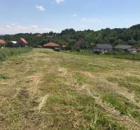 Telkek - lakóövezet Trenčianske Jastrabéban, kaszált rét házakkal és zölddel körülvéve.