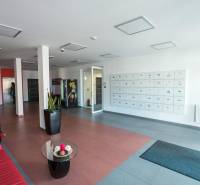 Irodák előcsarnokkal, karácsonyfával, postaládákkal és vázákban lévő növényekkel.