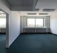 Tágas irodák nagy ablakkal és szőnyeggel, bőséges természetes fénnyel.