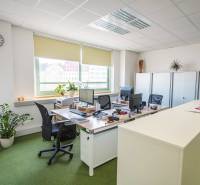 Irodák íróasztalokkal, számítógépekkel és növényekkel, felszerelés a kényelmes munkavégzéshez.