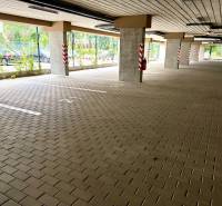 Parkolóhelyek a Szenice Sadová utcáján.