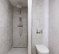 Fürdőszoba zuhanyzóval és WC-vel, minimalista stílusú, kétszobás lakásban.