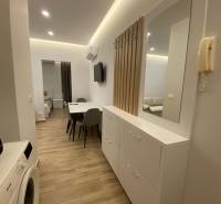 A rekreációs apartman folyosója mosógéppel, tükörrel és étkezőasztallal.