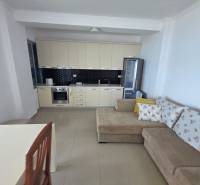 Nyaraló apartman konyhával, kanapéval és étkezőasztallal.