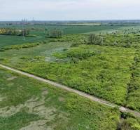 Mezőgazdasági és erdőterületek Zemplínske Kopčany közelében, villanyoszlopokkal és zöld mezőkkel.