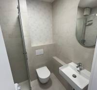 Fürdőszoba garzonlakásban WC-vel, mosdóval és zuhanyzóval, finom árnyalatokban.