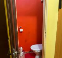 Világos narancssárga falú és piros szőnyeggel ellátott WC, 3 szobás lakás.