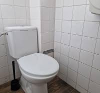 Fürdőszoba a Somorjai utcán alapfelszereltséggel és csempével, raktárak és csarnokok számára alkalmas.